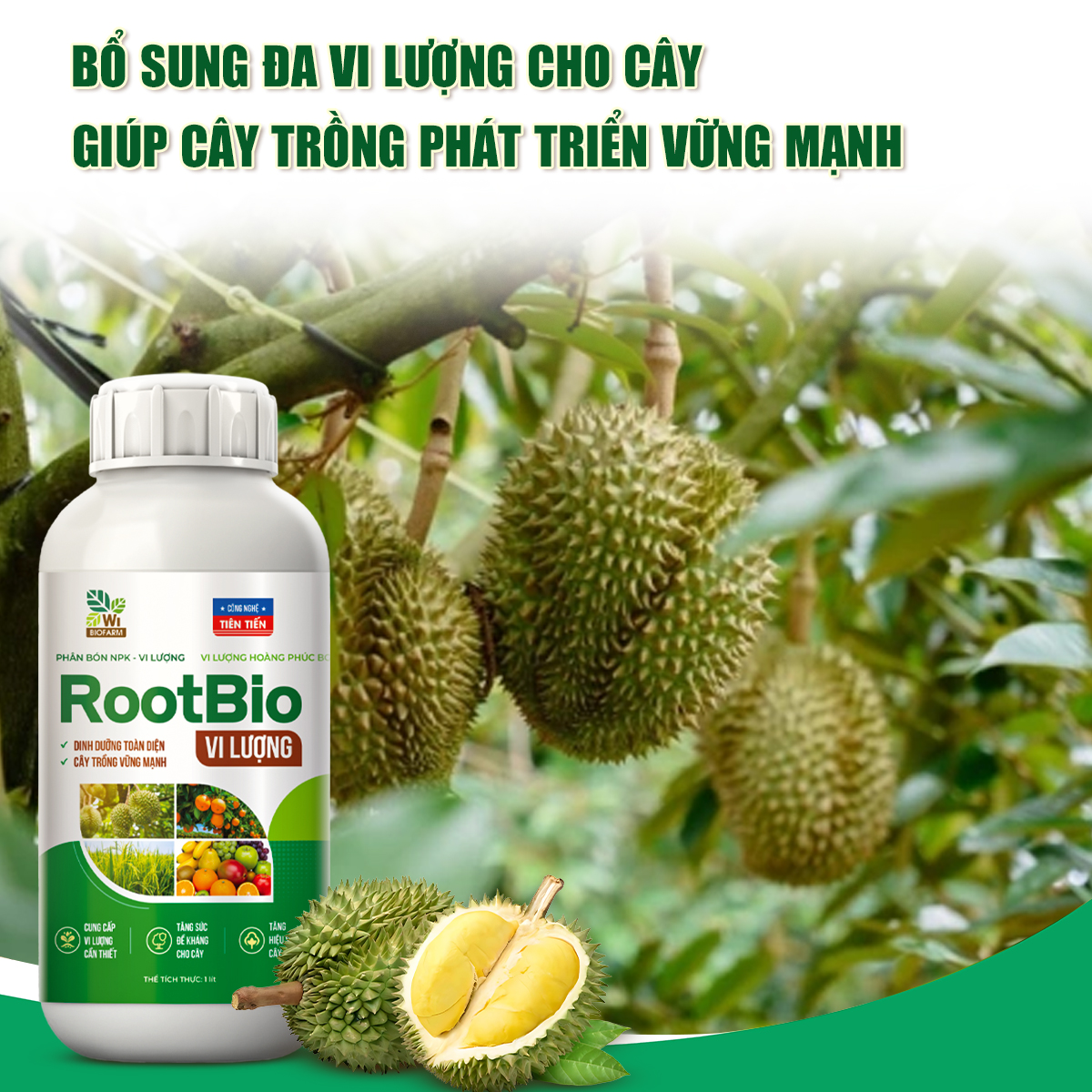 ROOTBIO Vi lượng - Ảnh 8