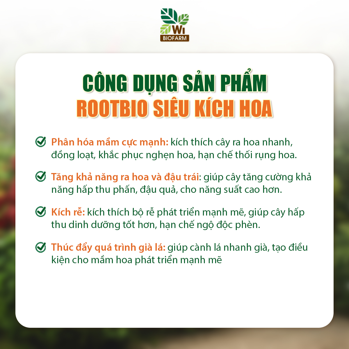 ROOTBIO Siêu kích hoa - Ảnh 5