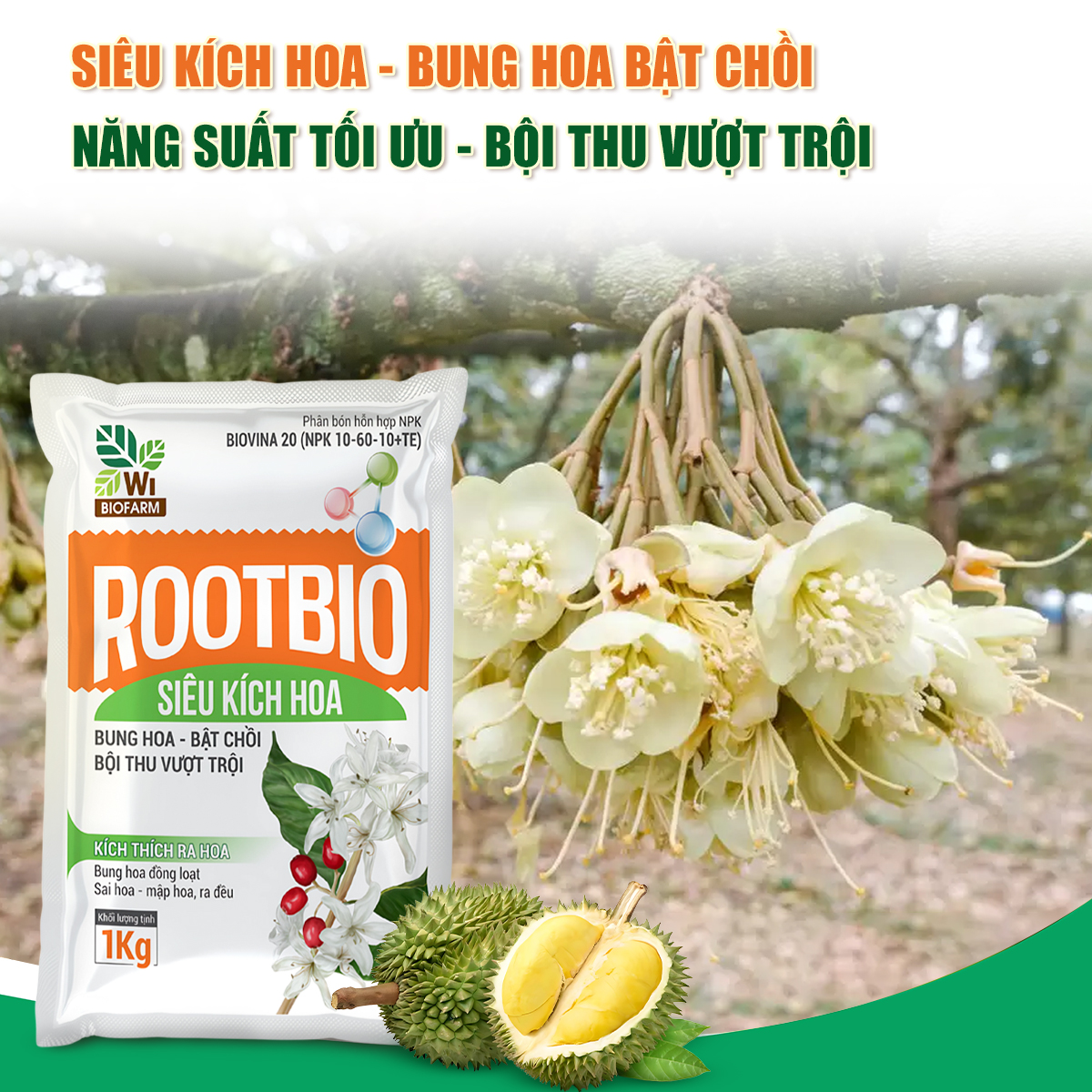 ROOTBIO Siêu kích hoa - Ảnh 8