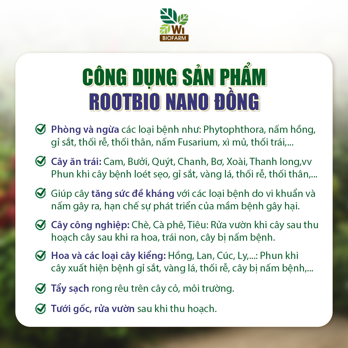 ROOTBIO Nano Đồng - Ảnh 5
