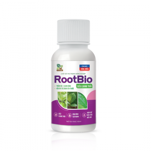 ROOTBIO Siêu Loang Trải