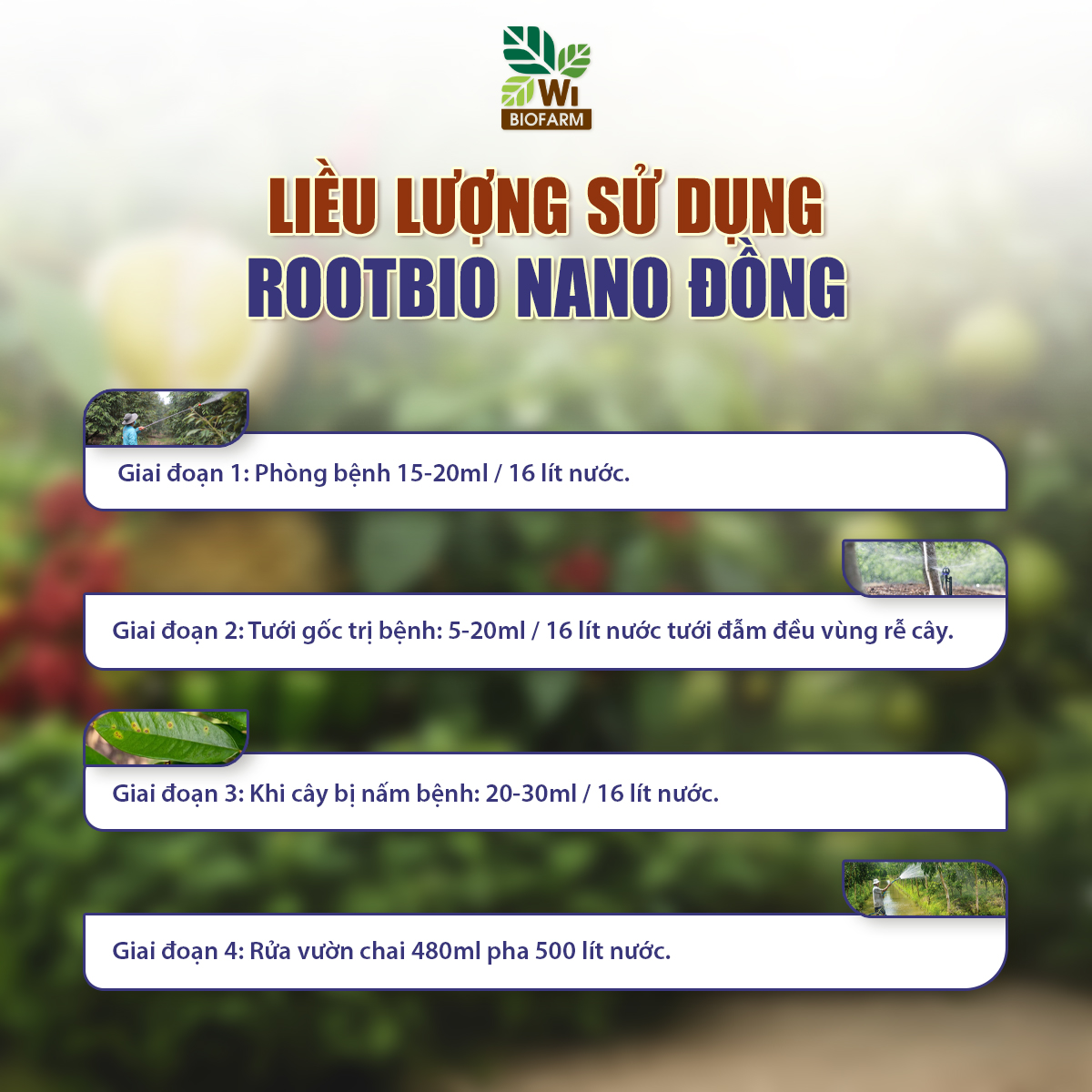 ROOTBIO Nano Đồng - Ảnh 7